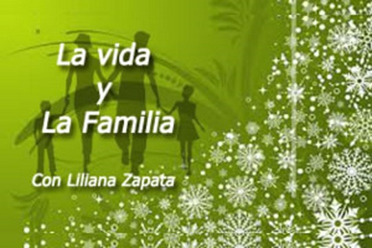 vida familia logo